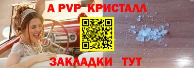 apvp Кимры