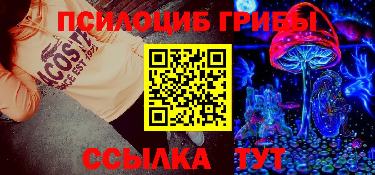 Галлюциногенные грибы Psilocybe Красноуфимск