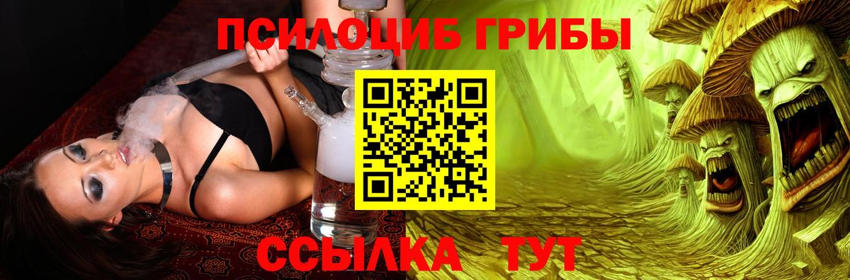 Псилоцибиновые грибы Psilocybine cubensis  Вход с VPN  Красноуфимск 